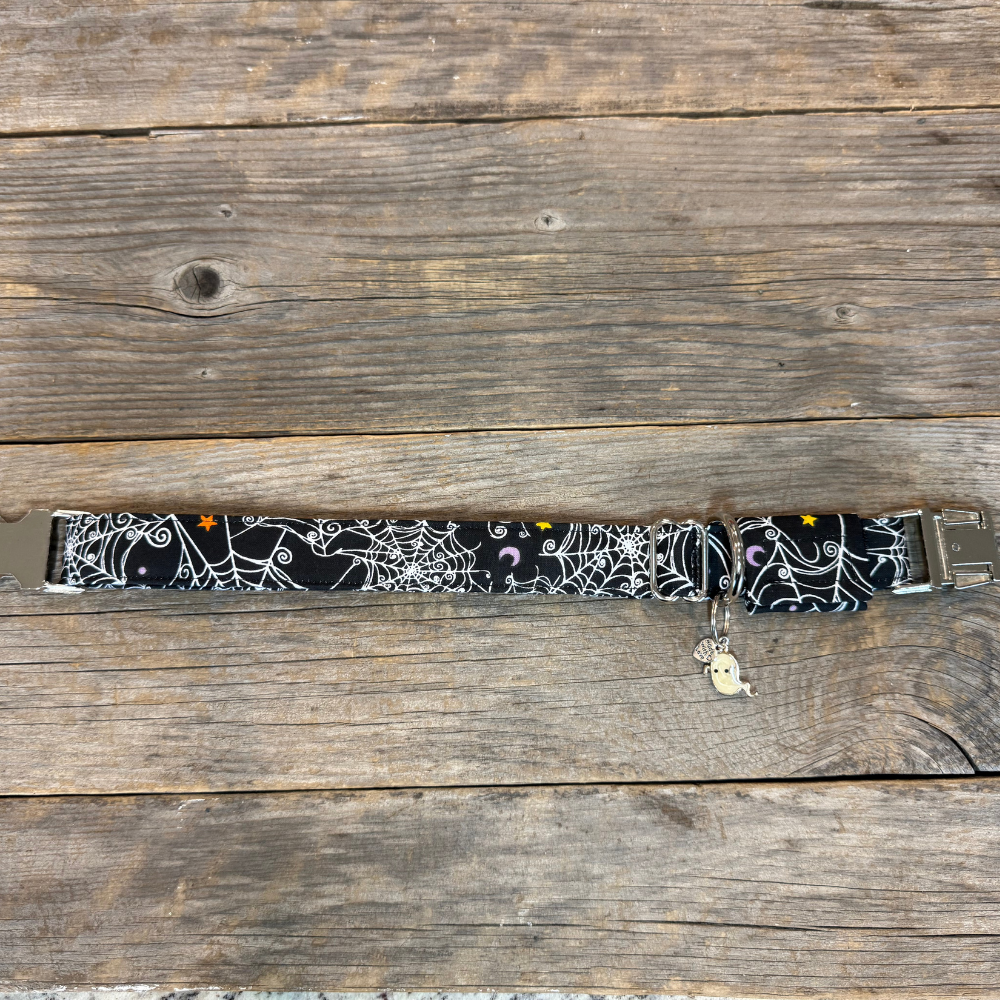 Mystic Webs-Dog Collar