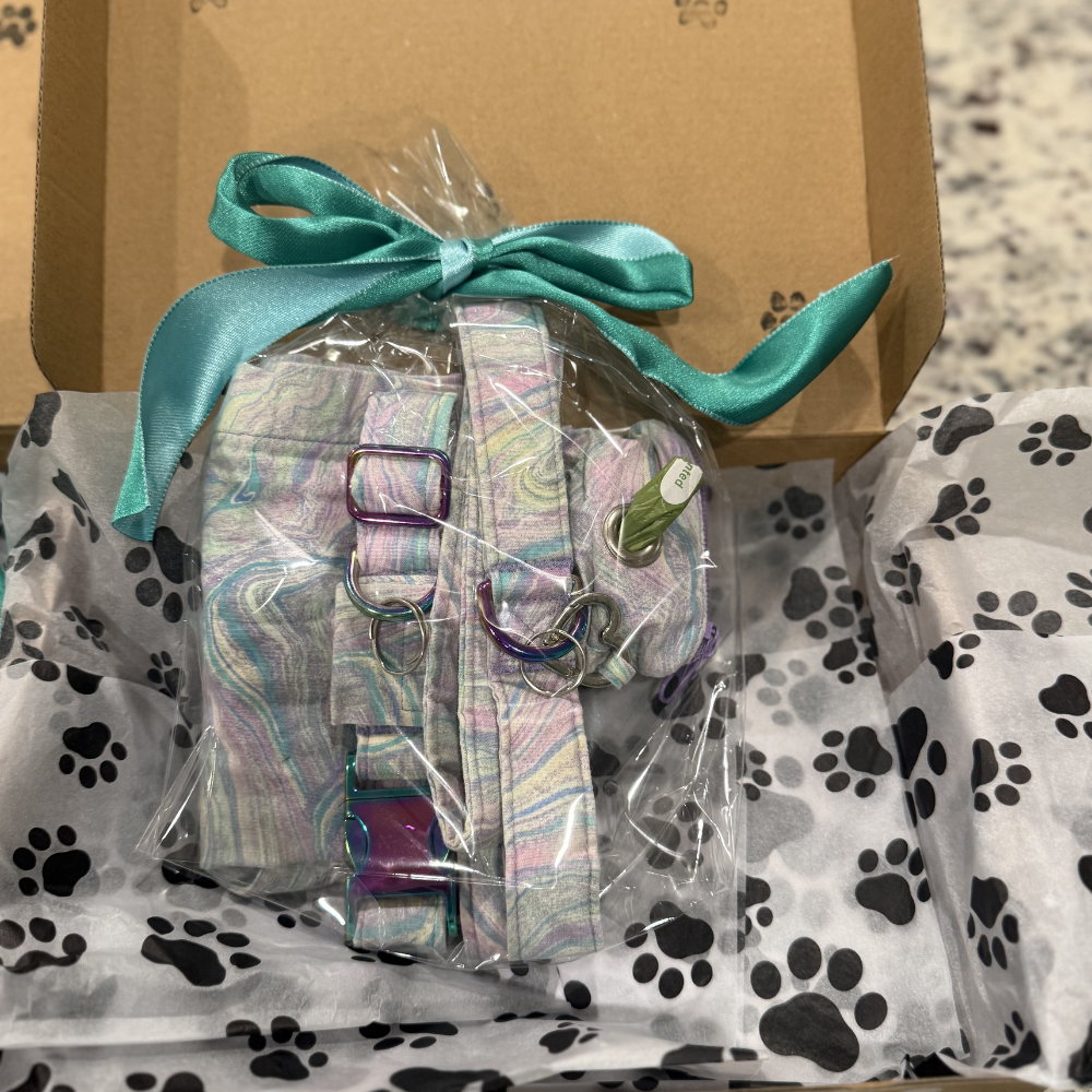 Girl Mystery Box for Dogs