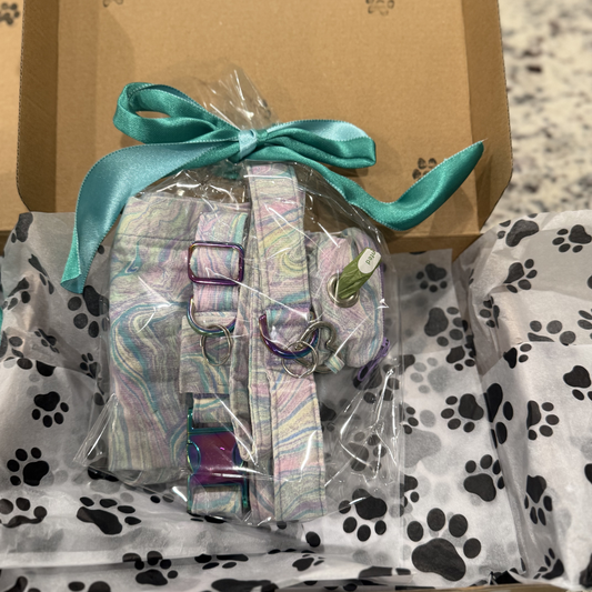 Girl Mystery Box for Dogs