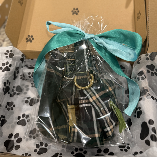 Boy Mystery Box for Dogs