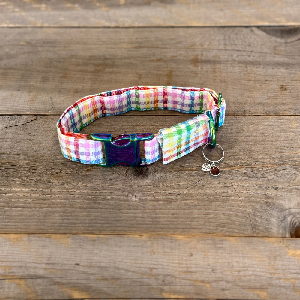 Candyland-Dog Collar