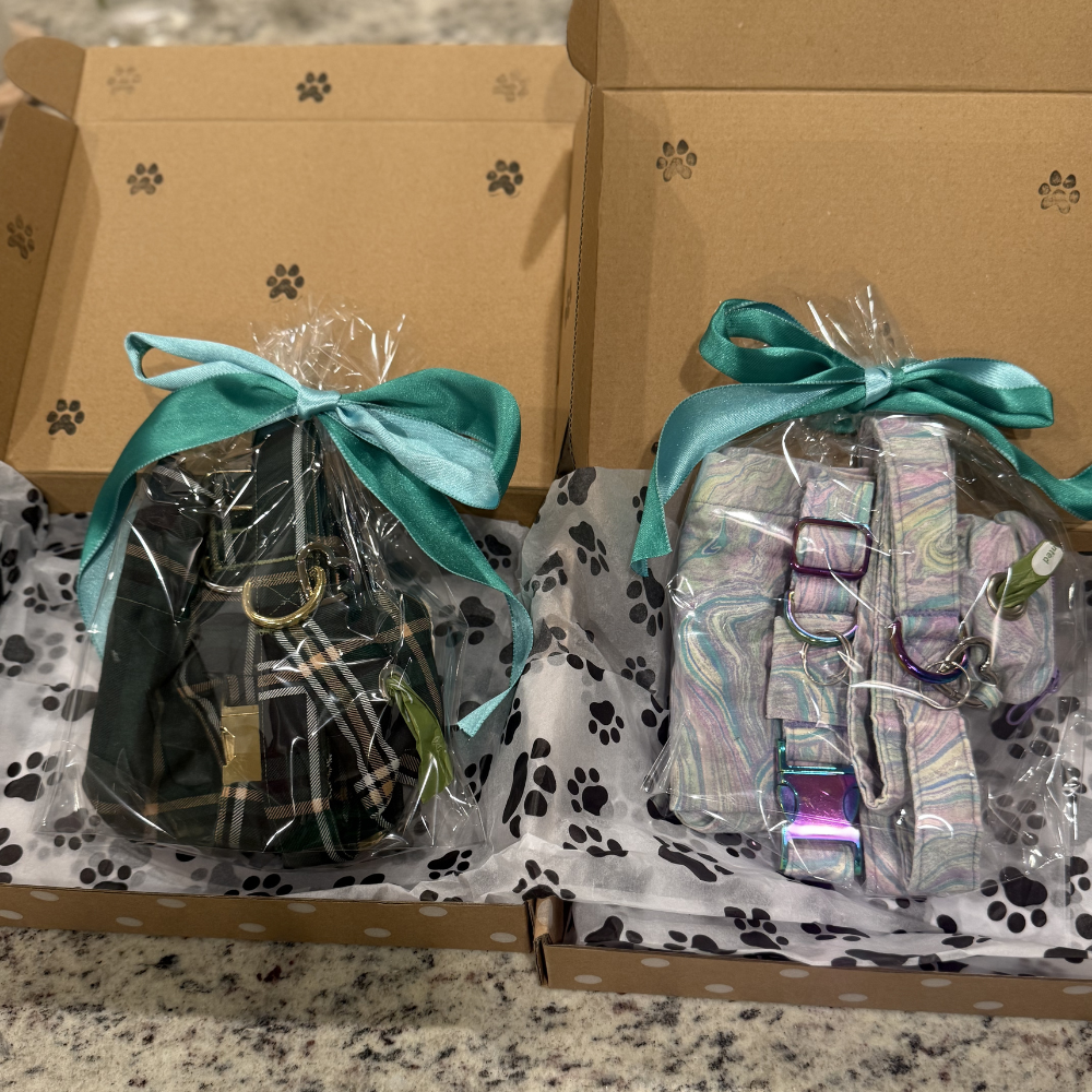 Boy Mystery Box for Dogs
