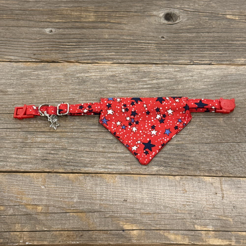 Firecracker - Cat Collar