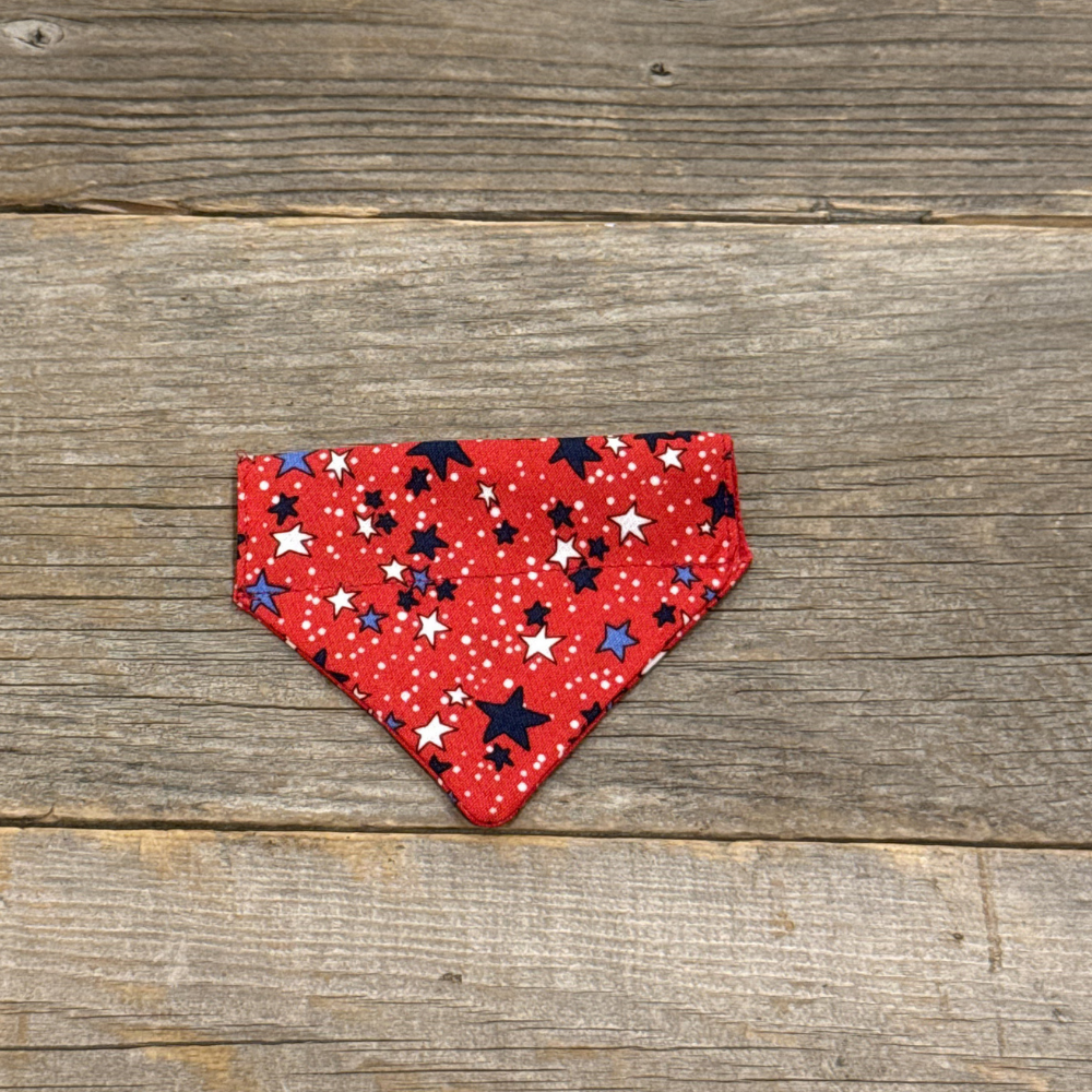 Cat Bandanna -Firecracker
