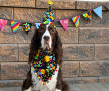 Load image into Gallery viewer, Birthday party set! Banner, Bandanna and Hat - Bunting
