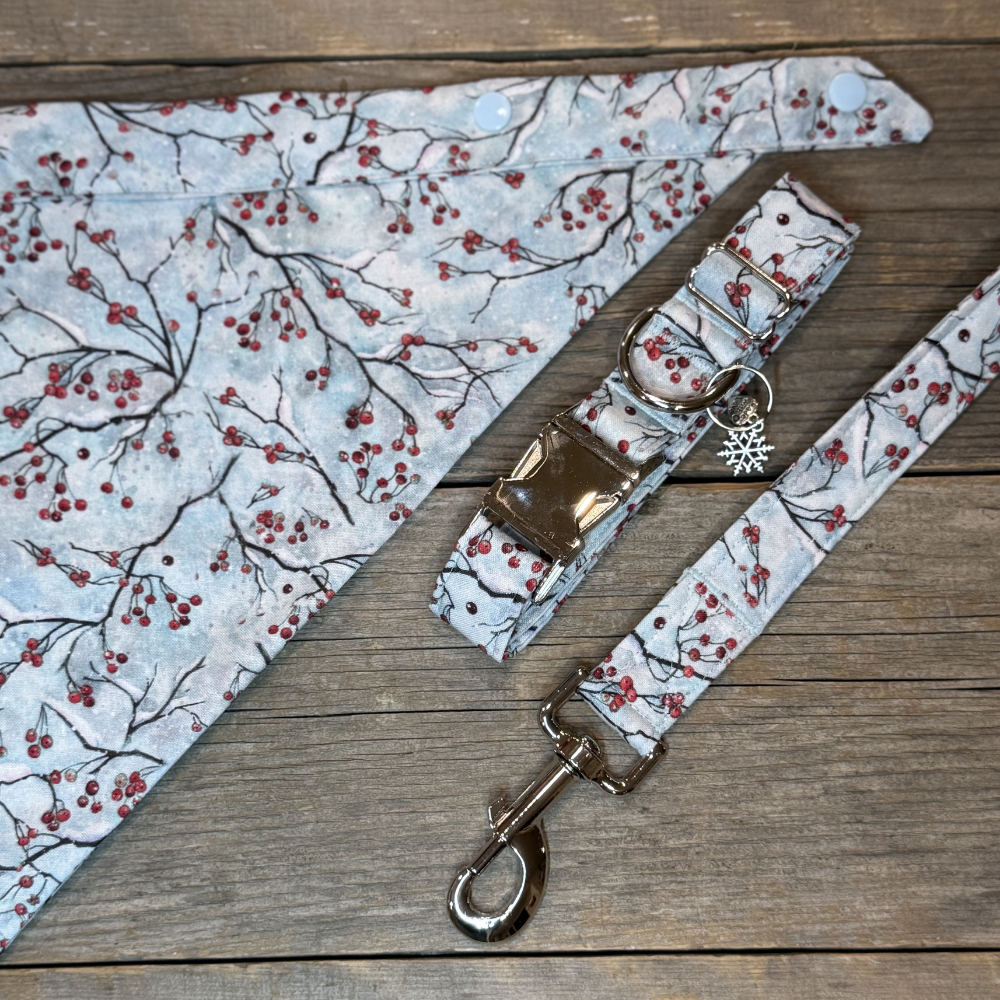 Winterberry Bliss -Dog Leash