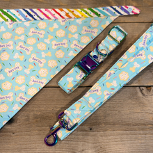 Load image into Gallery viewer, Blue Birthday Celebration Set - Collar, Leash, Bandanna, Hat, Decorative Pennant Banner
