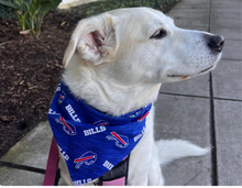 Load image into Gallery viewer, Double-Sided Dog Bandanna - Buffalo Bills &amp; Cheer!
