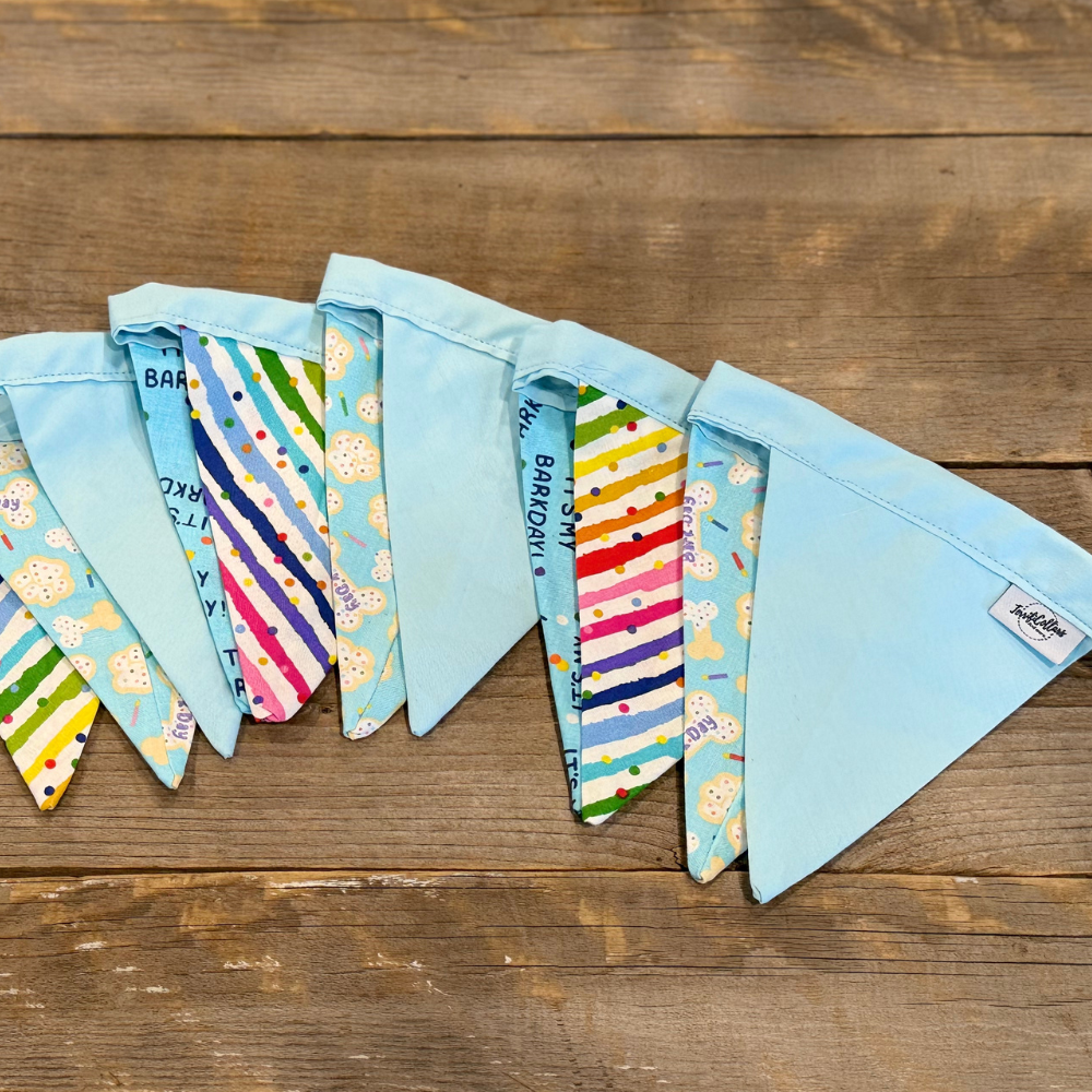 Blue Birthday Celebration Set - Collar, Leash, Bandanna, Hat, Decorative Pennant Banner