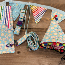 Load image into Gallery viewer, Blue Birthday Celebration Set - Collar, Leash, Bandanna, Hat, Decorative Pennant Banner
