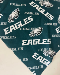 Double-Sided Dog Bandanna - Philadelphia Philadelphia Eagles & Cheer!