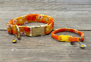 Island Time -Dog Collar