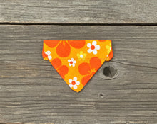 Load image into Gallery viewer, Double-Sided Cat Bandanna - Island Time
