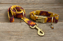 Load image into Gallery viewer, Groovy, Baby! -Dog Collar
