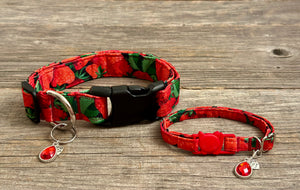 Berrylicious -Dog Collar