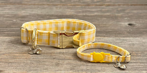 Lemon Drop -Dog Collar