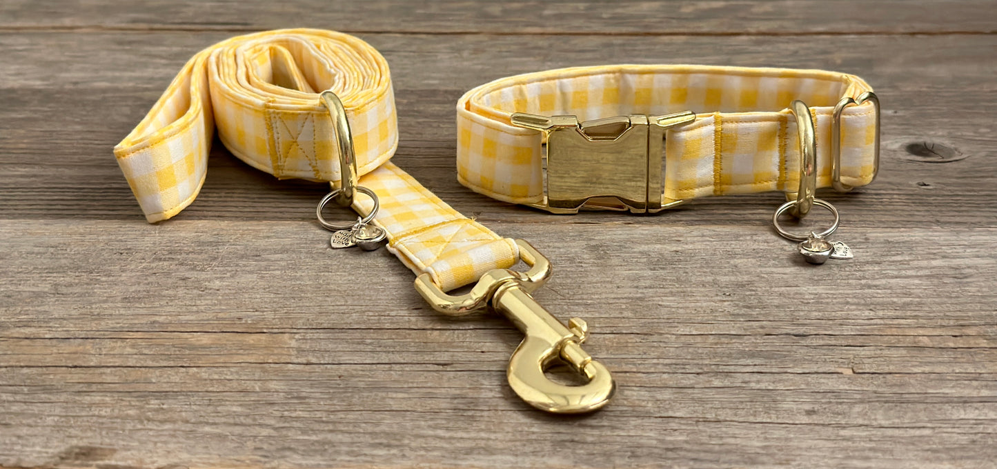 Lemon Drop -Dog Collar