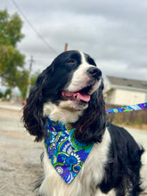 Load image into Gallery viewer, (Zen)tangled in Color -Dog Collar
