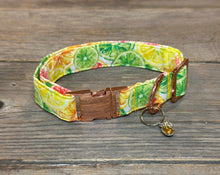 Load image into Gallery viewer, Citrus Splash Margarita  -Dog Collar
