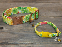 Load image into Gallery viewer, Citrus Splash Margarita  -Dog Collar
