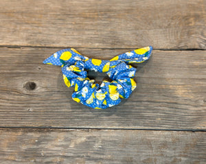 Feelin' Fruity? Hair Tie/Scrunchie Set of 3