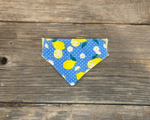 Load image into Gallery viewer, Cat Bandanna - Limoncello &amp; Lemon Drop
