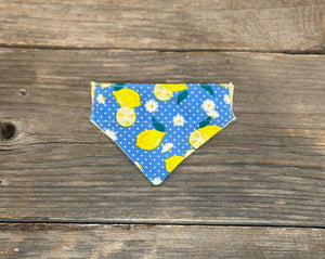 Cat Bandanna - Limoncello & Lemon Drop