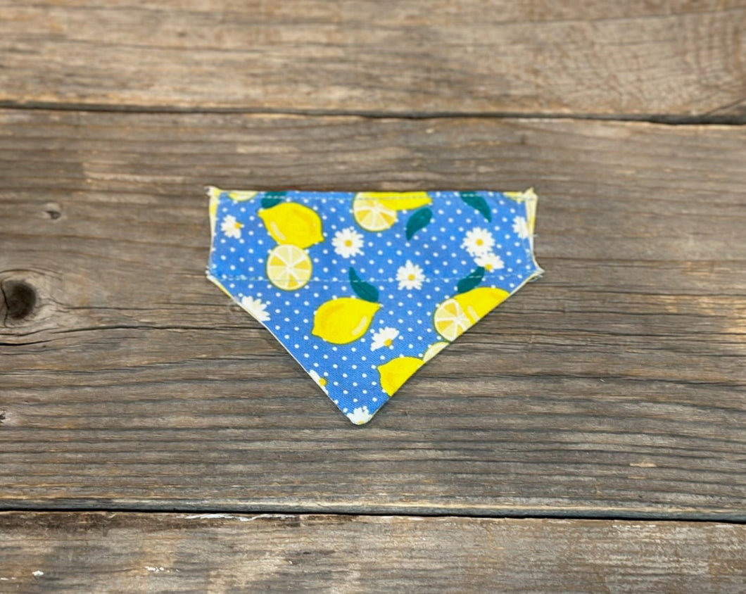 Cat Bandanna - Limoncello & Lemon Drop