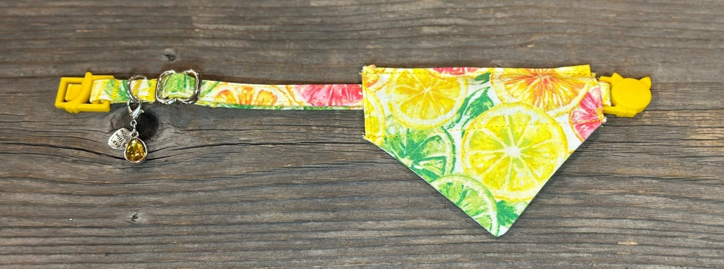 Cat Bandanna - Citrus Splash Margarita & Picnic in the Meadow