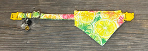 Citrus Splash Margarita - Cat Collar