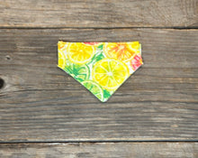 Load image into Gallery viewer, Cat Bandanna - Citrus Splash Margarita &amp; Picnic in the Meadow
