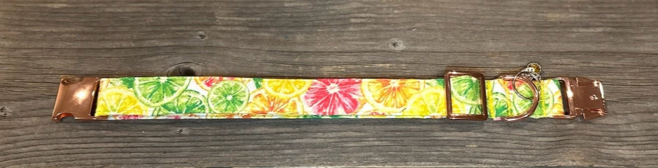 Citrus Splash Margarita  -Dog Collar