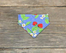 Load image into Gallery viewer, Cat Bandanna - Strawberry Daiquiri &amp; Picnic for Two
