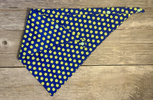 Load image into Gallery viewer, Double-Sided Dog Bandanna - Daisy Delight
