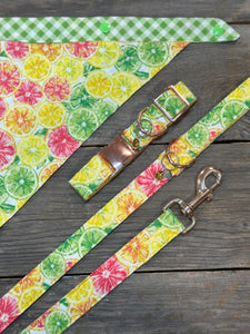 Citrus Splash Margarita -Dog Leash