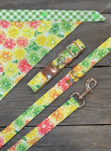 Load image into Gallery viewer, Dog Bandanna - Citrus Splash Margarita &amp; Picnic in the Meadow
