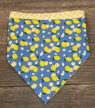 Load image into Gallery viewer, Dog Bandanna - Limoncello &amp; Lemon Drop
