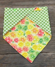 Load image into Gallery viewer, Dog Bandanna - Citrus Splash Margarita &amp; Picnic in the Meadow
