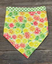 Load image into Gallery viewer, Dog Bandanna - Citrus Splash Margarita &amp; Picnic in the Meadow
