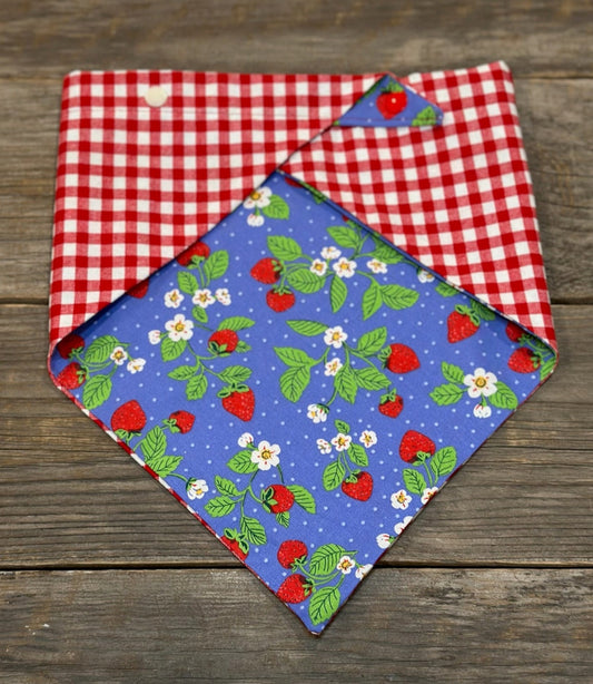 Dog Bandanna - Strawberry Daiquiri & Picnic for Two