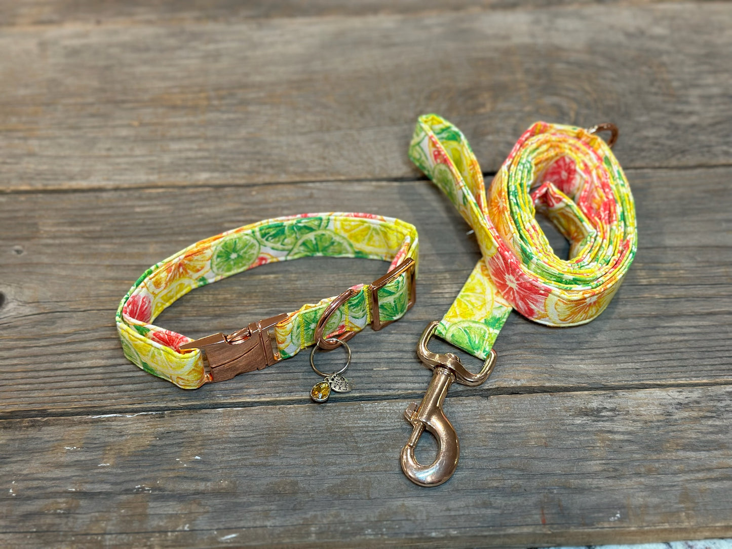 Citrus Splash Margarita -Dog Leash