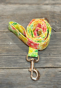 Citrus Splash Margarita -Dog Leash