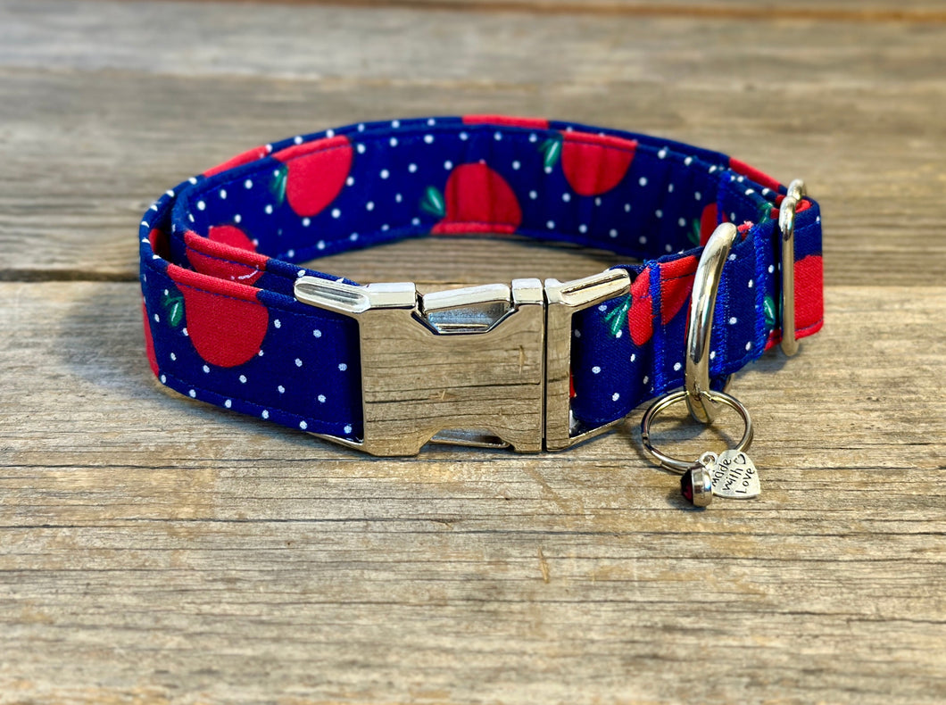 Teacher’s Pet -Dog Collar