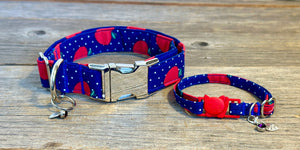 Teacher’s Pet -Dog Collar