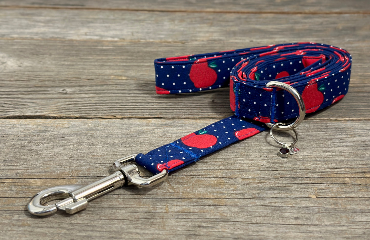 Teacher’s Pet -Dog Leash