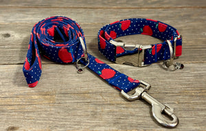 Teacher’s Pet -Dog Collar