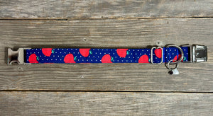 Teacher’s Pet -Dog Collar