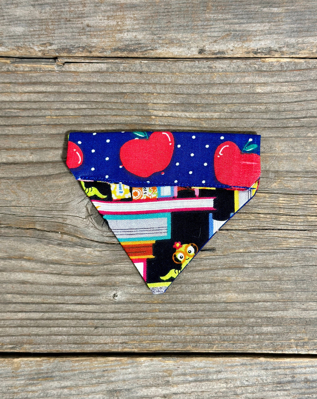 Double-Sided Cat Bandanna - Teacher’s Pet & Bookworm