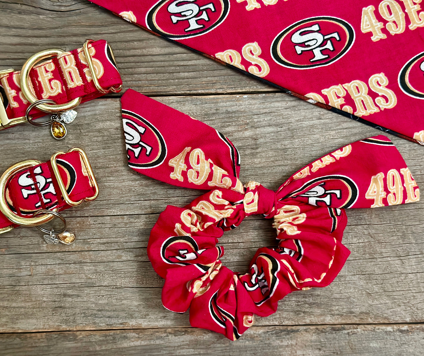 49ers -Dog Collar