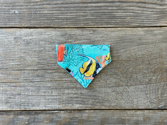 Cat Bandanna - Reef Wonders & Island Lagoon